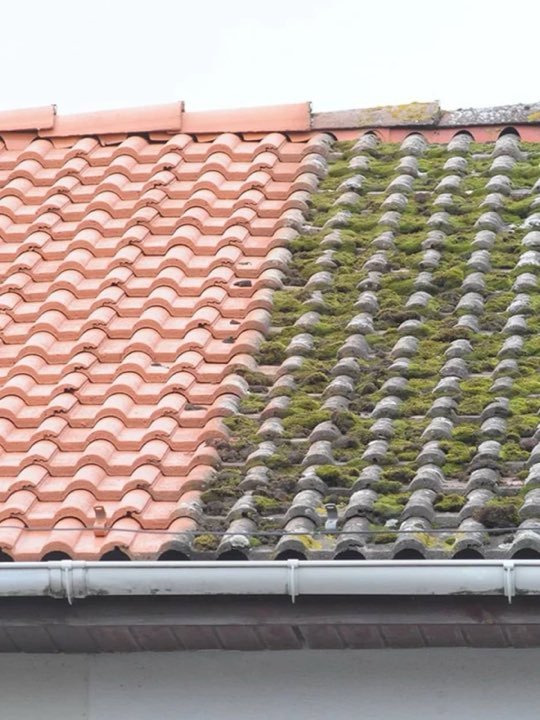 Toiture en tuiles pendant un démoussage