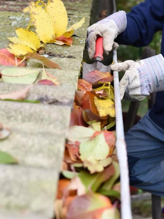 Gouttière en cours de nettoyage, feuilles retirées
